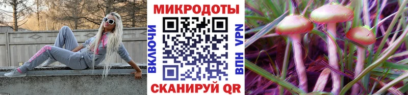 Псилоцибиновые грибы Cubensis  продажа наркотиков  Видное 
